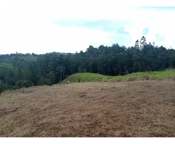 Lote En Venta El El Retiro, Sector Pantanillo