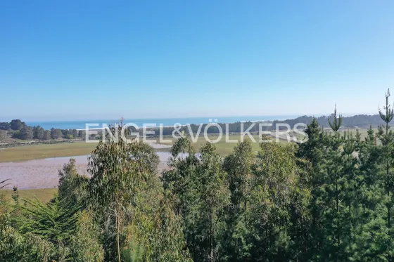 Excelente Terreno En Cáhuil, A 5 Minutos De Punta De Lobos