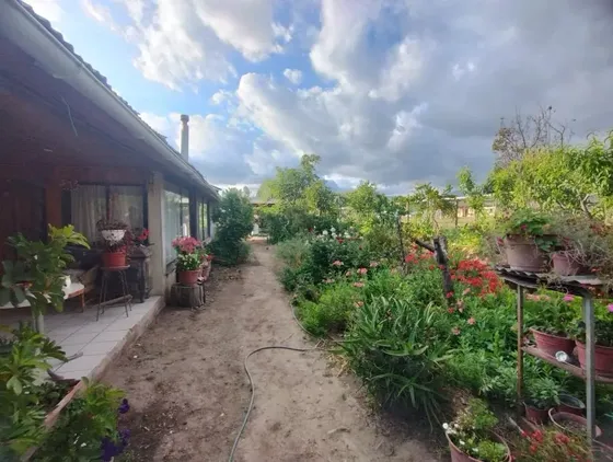 Casa Con Plantación Paltos En Prod, 4000 M2, $ Conversable