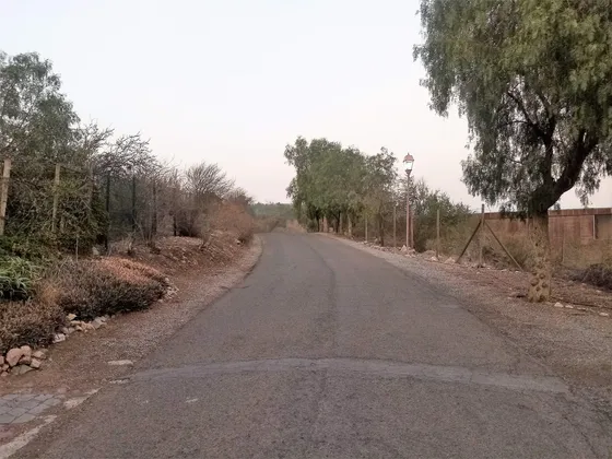Parcela En Av. Chicureo, Colina (121575)