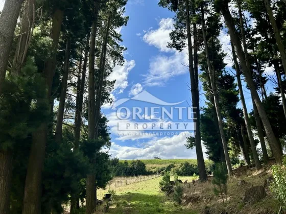 Osorno, Condominio Cerrado En Sector Las Quemas