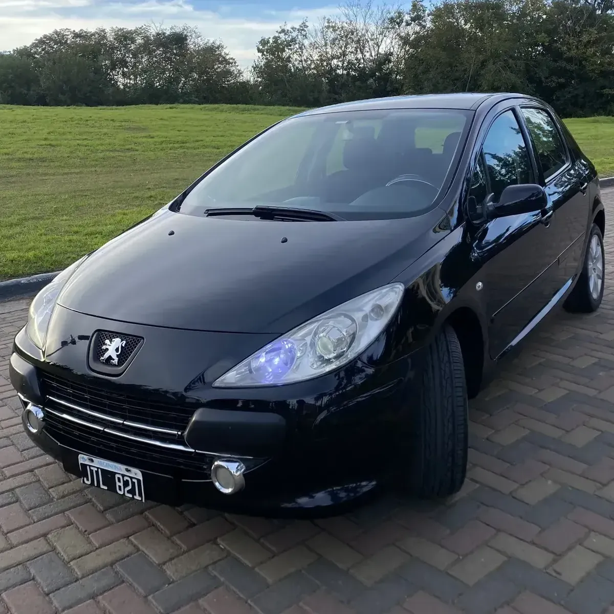 Peugeot 307 1.6 Xs 110cv