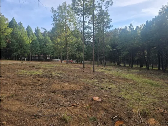 Terrenos En Venta En La Vitela Patzcuaro