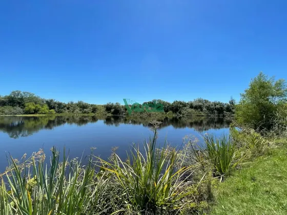Campo De 91 Has. En Pando, Con Costa Sobre El Arroyo Pando