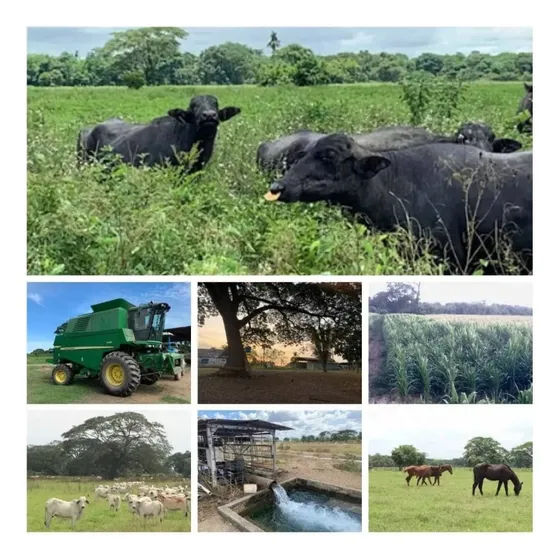 Fincas En Venta En Diferentes Zonas Del Pais
