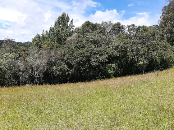 Venta Lote En El Alto De Las Palmas