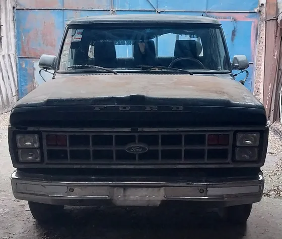 Ford F-100 3.6 Lujo