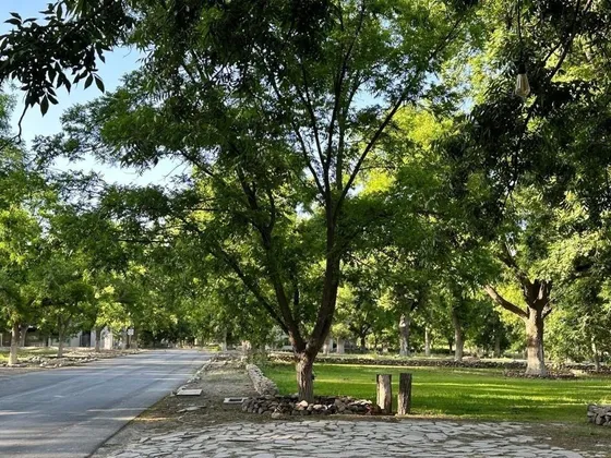 Terreno Campestre En Venta En Parras