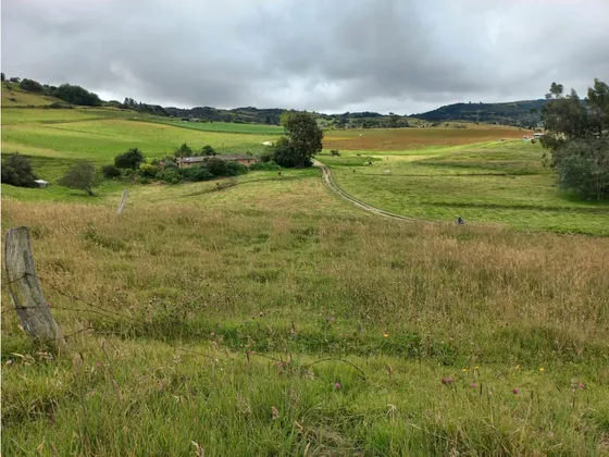 Venta De Finca En La Verdeda Carbonera Motavita