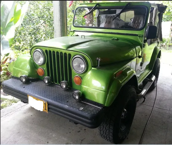 Jeep Cj 4.0l