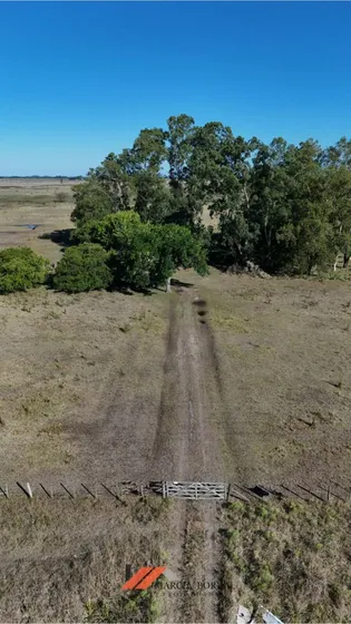 Quinta En Venta En Ranchos