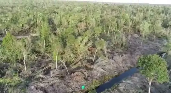 Se Vende Terreno En Parcelacion Aguas Buenas, Ancud