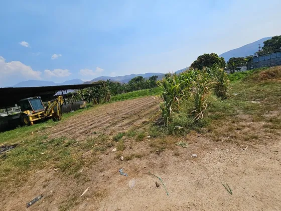 Sky Group Élite Vende Finca Productora 3ha En Vigirima Sector La Compañia