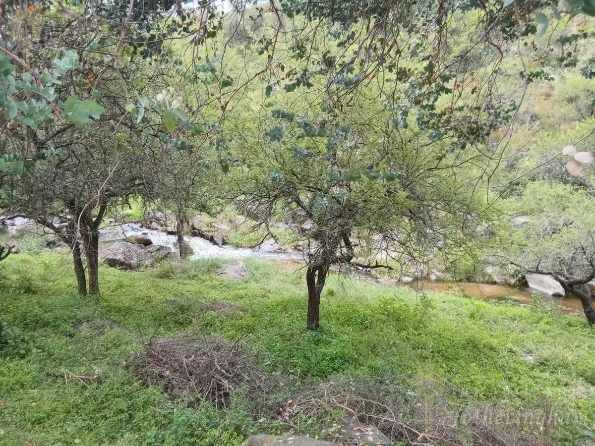 Opportunity | Plot for Sale with Stream Access | La Sierrita | Villa del Dique