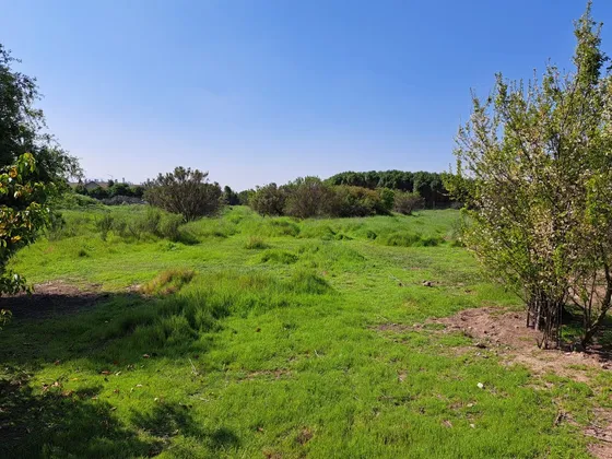 Excelente Parcela 7.900 M2 Con Gran Vista Isla De Maipo
