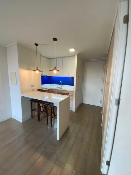 Depto 1dorm + 1 Baño+ 1 Est, Av. Las Condes (95023)