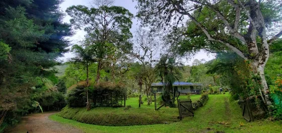 Finca En Venta Ubicada En Bitaco, Chicoral, 7 Hectàreas, Casa De Un Solo Nivel