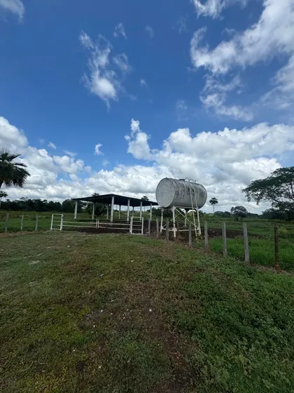 Finca En Barinas, Arismendi, En Venta. Zc.o