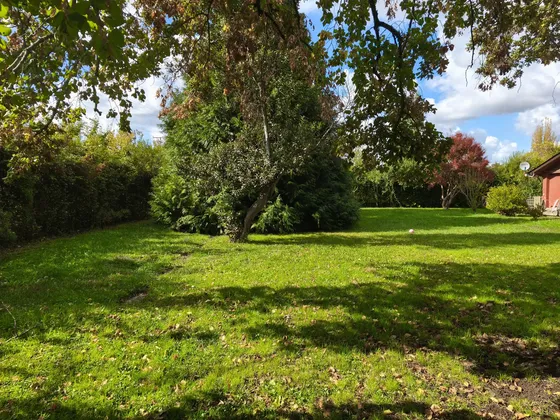 Se Vende Hermosa Parcela Con Casa Colonial En Linares