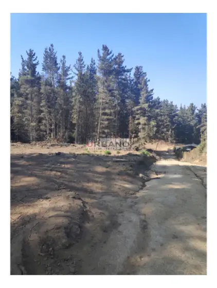 Terreno Esquina En Excelente Ubicación De Los Pinos
