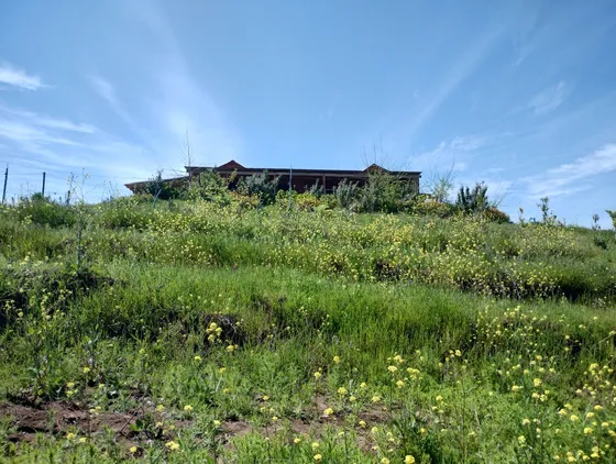 Casa Amoblada En Parcela 5.000 Mts, El Convento, Sto Domingo