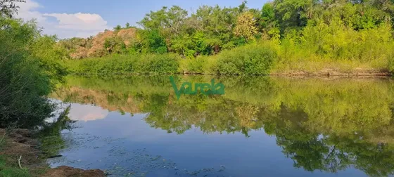 Venta De Campo, Paso Del Sordo, Florida, Excelente Campo De 37.5 Has 