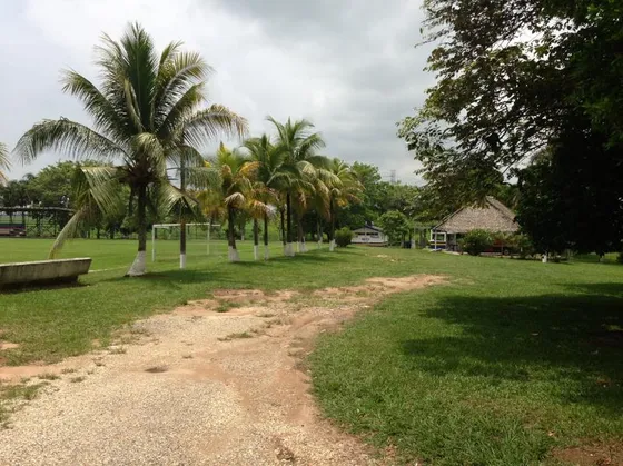 Terreno En Venta Carreterra  Federal Mina-coatza