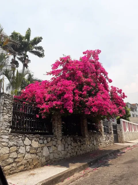 Lj. Venta Casa Urb. El Limón Maracay - Aragua