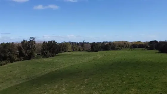 Agrícola En Venta En Puyehue