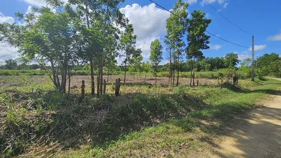 Vendo Terreno En Guerra, Excelente Para Casa Vacional.