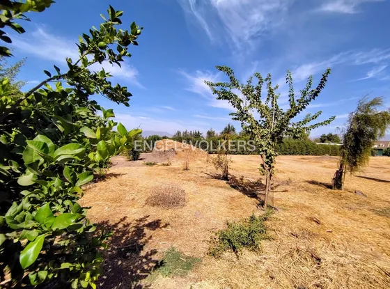 Terreno Excelente Ubicación, Apto Uso Comercial