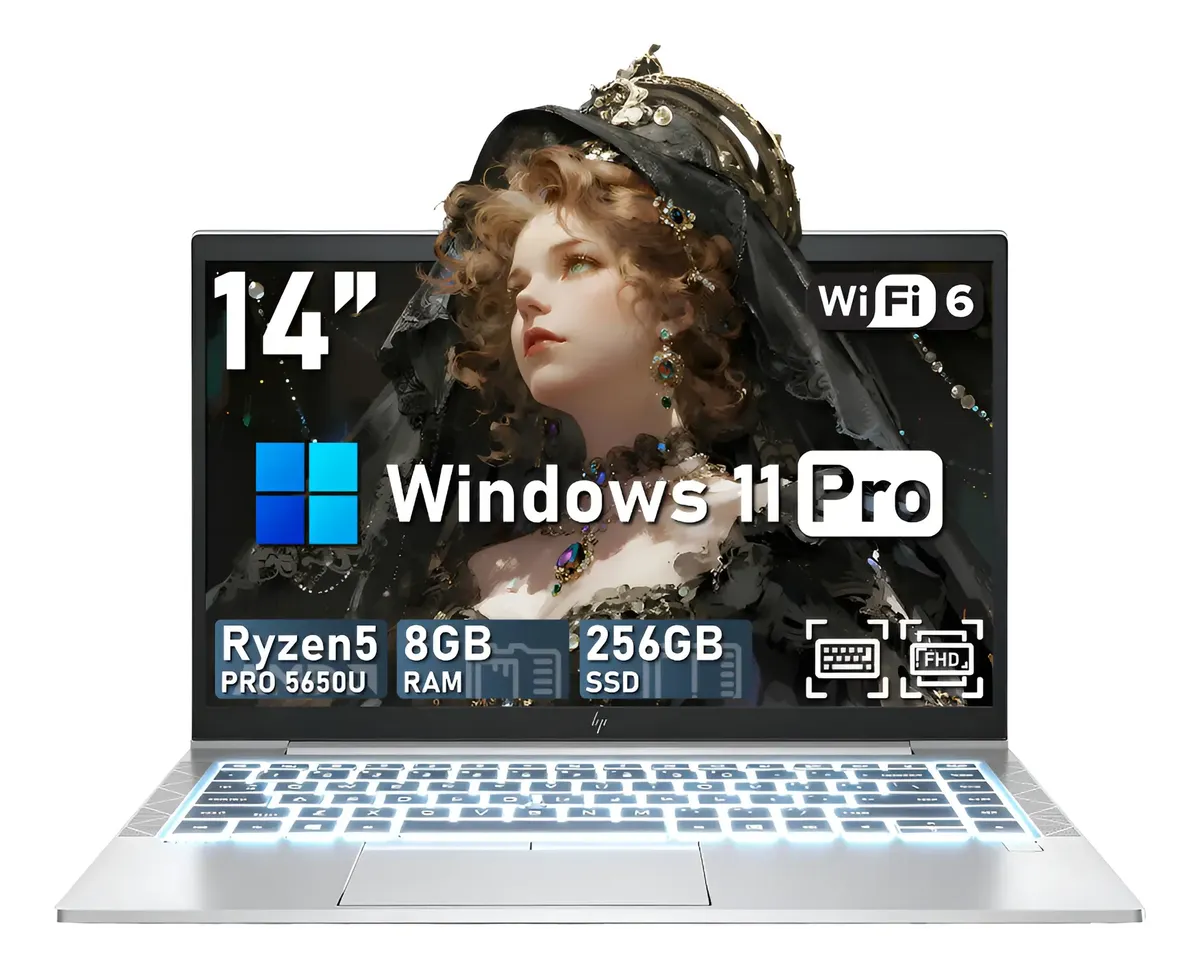 Laptop Hp Elitebook 845 G8 Amd Ryzen 5 8gb Ram 256gb Ssd Fhd Plateado (Reacondicionado)