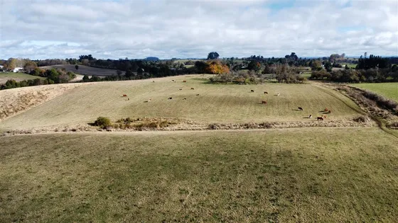 Agrícola En Venta En Paraguay Chico, Comuna De Los Muermos
