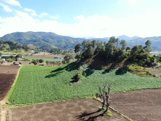 Terreno 