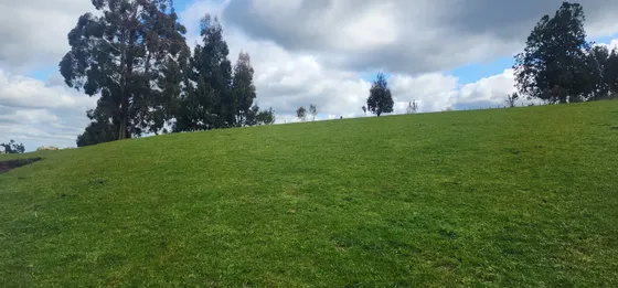 Parcelas En Pichirropulli, Paillaco. Los Riós. Crédito