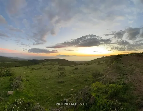 Parcela De 5.000 M2 Con Vista Al Mar