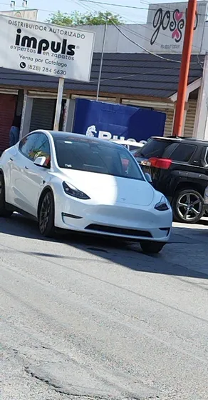 Tesla Model Y Performance