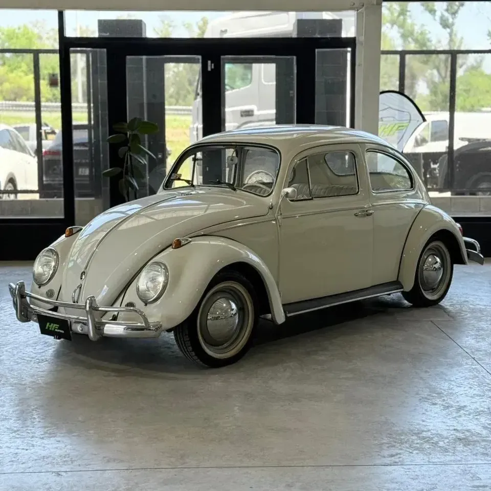Volkswagen Escarabajo 1.6 1600