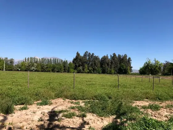 15 Terrenos De 5.000 Mts Con Factibilidad De Luz Y Agua
