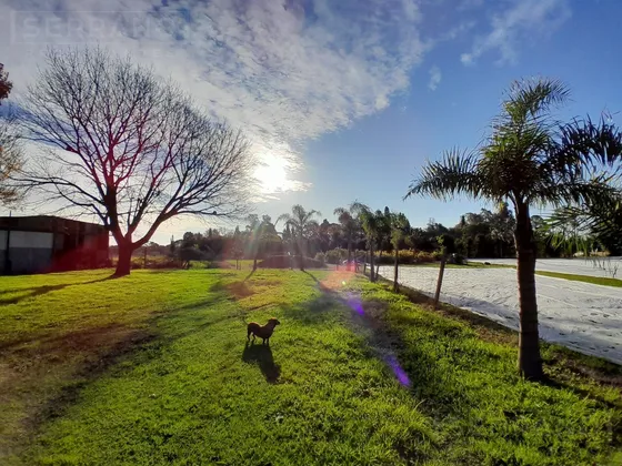 Venta Campo 3 Hectáreas Con Vivienda En Escobar