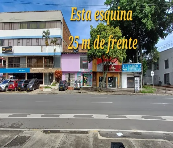 Vendo Locales, Bodega, Barrio Alameda Sobre La Calle Novena En Cali Sur Central Casa
