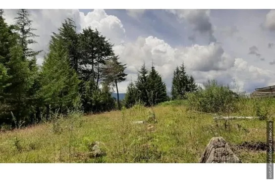 Lote Vitrina En Venta En Guarne, Antioquia 