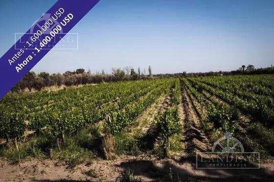 Finca Productiva En Venta En Mendoza, 60 Has Cultivos Intensivos