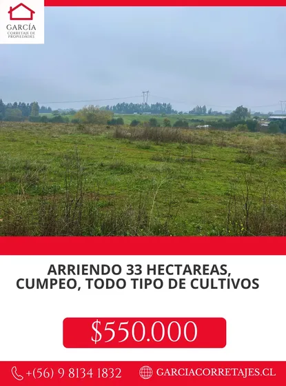 Arrendamos!! Excelente Campo De 33 Has. En Cumpeo, Rio Claro
