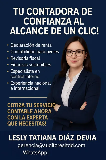 Contador Publico
