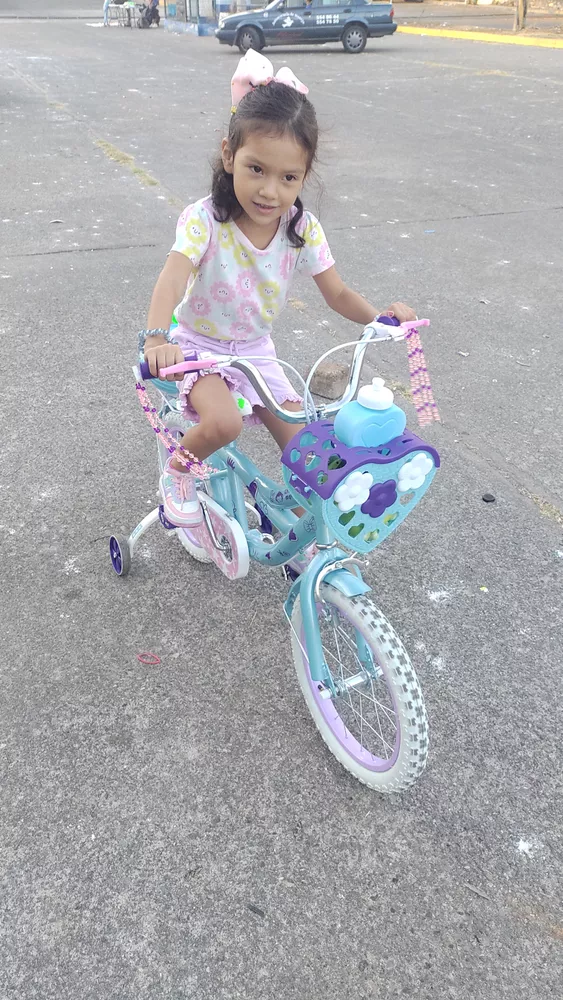 Bicicleta Infantil R16 Little Monkey, Rosa, con Canasta y Rueditas