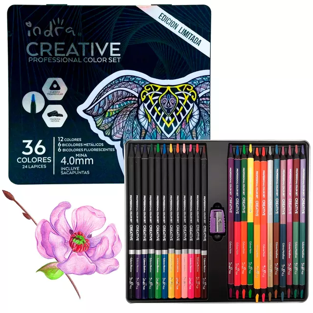 Indra Juego de lápices de colores profesionales, 24+4 lápices de dibujo  artístico de colores para adultos, niños, estudiantes, profesores, dibujos