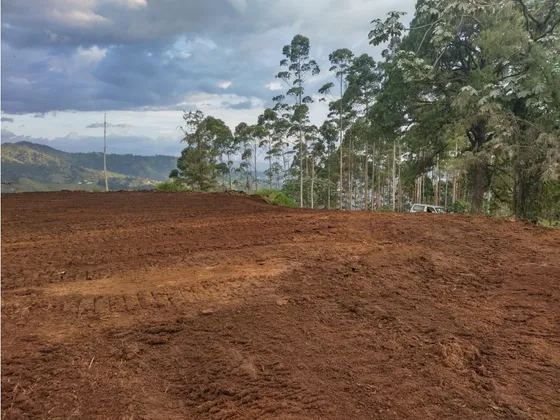 Venta Amplio Lote De 2926m2 Alto De Boqueron Dosquebradas