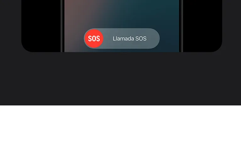 descripción