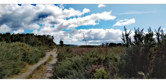 Se Vende Parcela En Chiloé